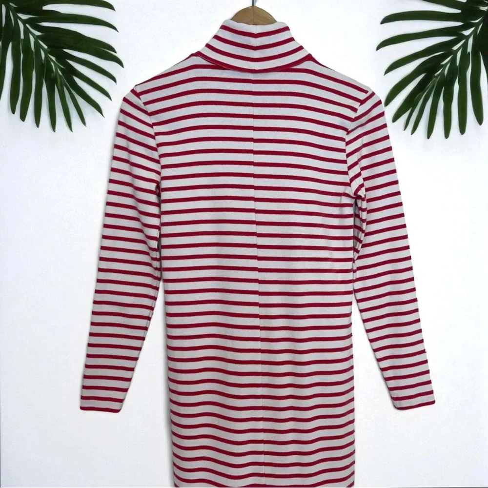 J. Crew Striped Turtleneck Dress